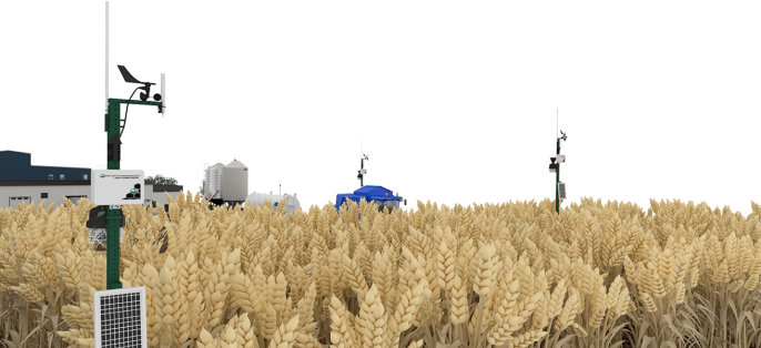 Field manager at farm image