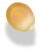 Corn kernels