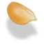 Corn kernels