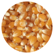 A picture of some seeds in a circular shape